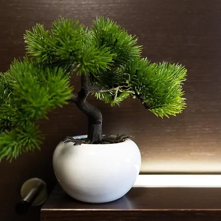 Tennis Dubrovnik, Free Parking, Apartament *